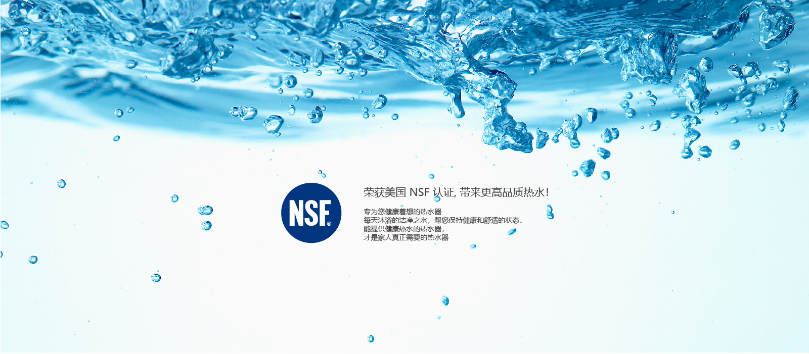 NPE-产品详情页_5